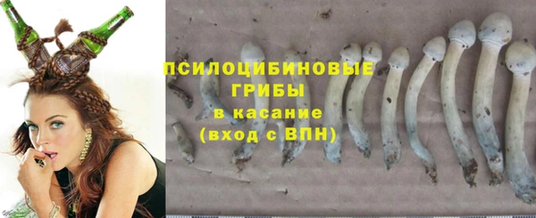 ешки Гусь-Хрустальный