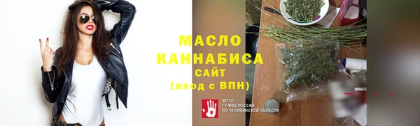 ешки Гусь-Хрустальный