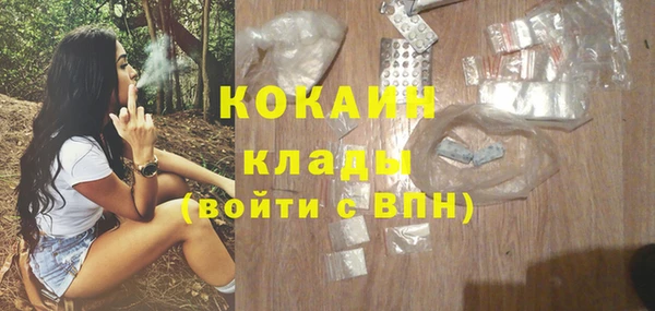 ешки Гусь-Хрустальный